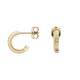 Daniel Wellington Earring/ DW00400350