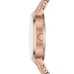 DKNY Ladies Wristwatch/ NY2998