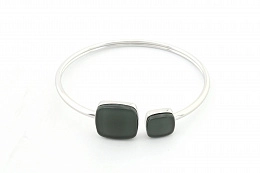 Skagen Bracelet/ SKJ0870040