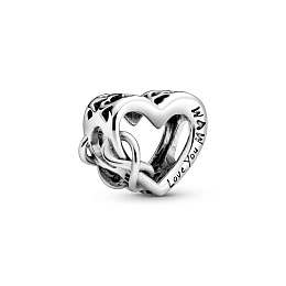 PANDORA Moments Արծաթյա Չարմ/ 798825C00