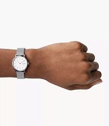 Skagen  Կանացի  Ժամացույց/ SKW2692
