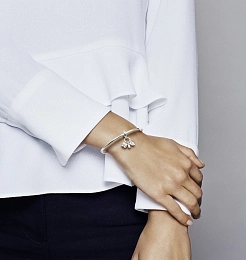 PANDORA Moments Silver Charm/ 798106CZ