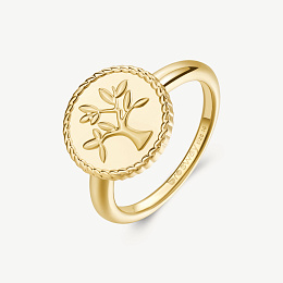 Brosway Ring/ BHKR002E