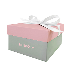 PANDORA Gift Box / GiftBoxGreySmallPandora
