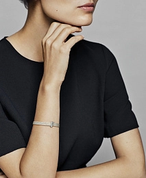 PANDORA Reflexions Արծաթյա Չարմ/ 798202