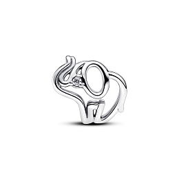 PANDORA Moments Silver Charm/ 793345C01