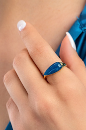 Skagen Ring/ SKJ1632710-8