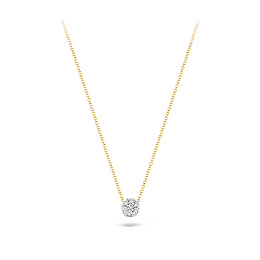 Blush 14K Gold Necklace/ 3077BZI