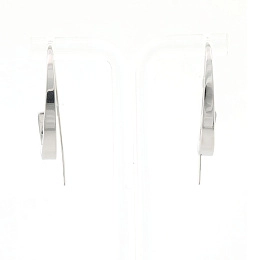 Skagen Earring/ SKJ1077040