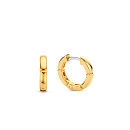 Ti Sento 14K Ոսկեպատ Արծաթյա Ականջօղ/ 7889SY