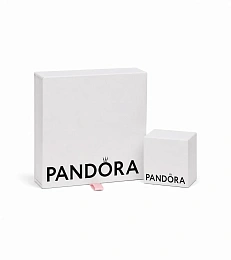 PANDORA Me Արծաթյա Չարմ/ 792803C01