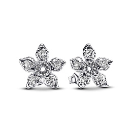 PANDORA Stranger Things Արծաթյա Ականջօղ/ 293573C01