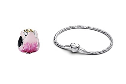 Pandora Timeless Bracelet and Charm