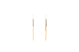 Skagen Earring/ SKJ1212998
