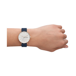 Skagen  Կանացի  Ժամացույց/ SKW3090
