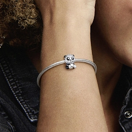 PANDORA Moments Silver Charm/ 790771C01