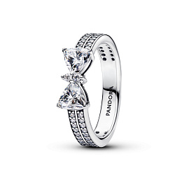 PANDORA Timeless Silver Ring/ 193552C01-54