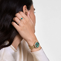 Daniel Wellington  Ladies  Wristwatch/ DW00100824