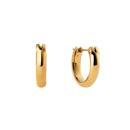 Daniel Wellington Ականջօղ/ DW00401949