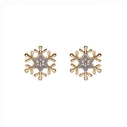 Earrings - EG00013L