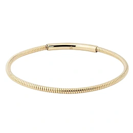 Zag Bijoux 24K Gold Plated Stainless Steel Surgical Bracelet/ SBJ22104-01UNI3