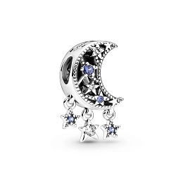 PANDORA Moments Արծաթյա Չարմ/ 799643C01