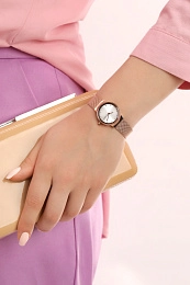 Skagen  Ladies  Wristwatch/ SKW2665