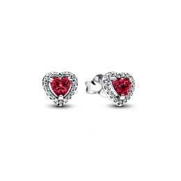 Pandora Signature Արծաթյա Ականջօղ/ 298427C04