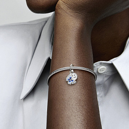 PANDORA Moments Silver Charm/ 790757C01